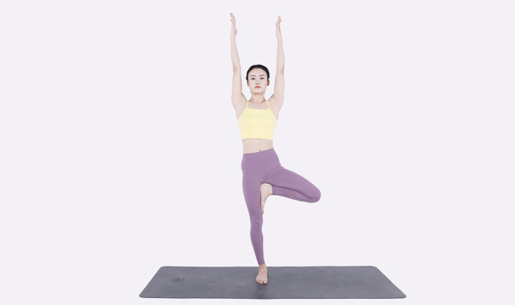 体式精讲之树式