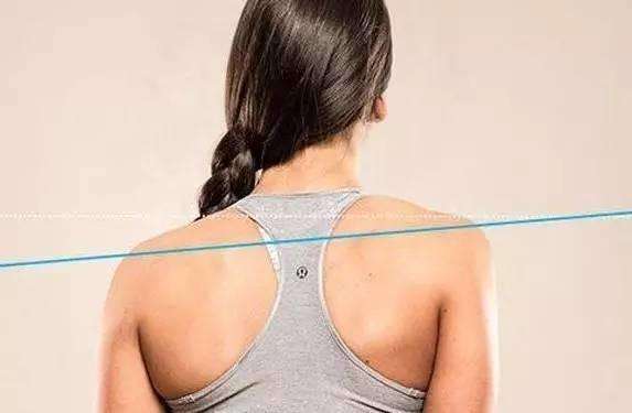 1522722718455086495.jpg timg.jpg