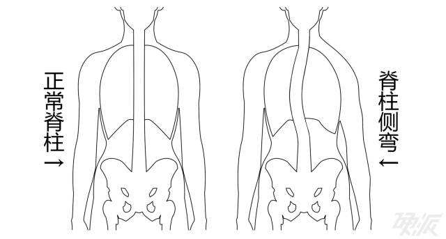 1522722747087026023.jpg timg (1).jpg