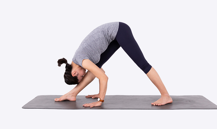 艾扬格中级系列课程