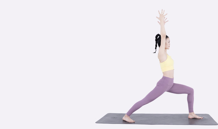 体式精讲之战士一式