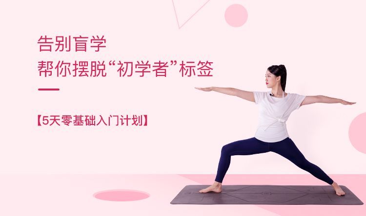 第4天：精练拜日式A