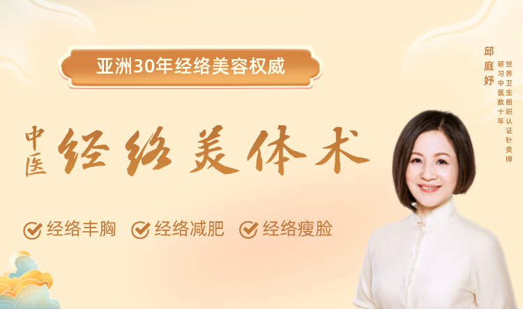 中医经络美体术